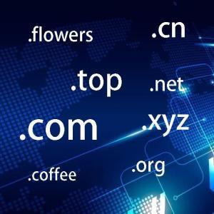 拉萨网站建设常见问题之什么是域名？如何购买和选购域名？