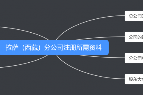 如何在拉萨注册分公司？注册拉萨（西藏）分公司的流程、时间、费用、资料是怎样的？